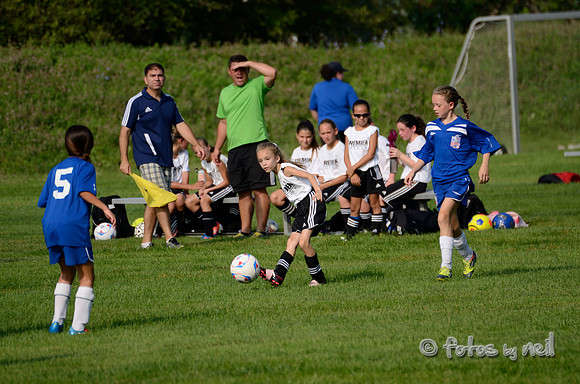 _DSC1542