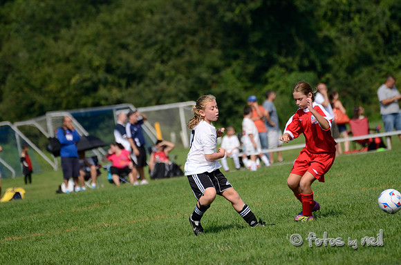_DSC1589