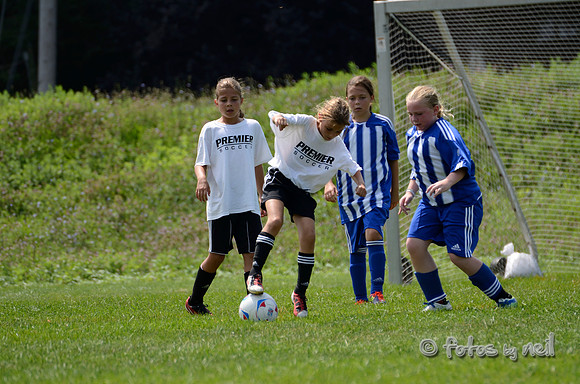 _DSC1761
