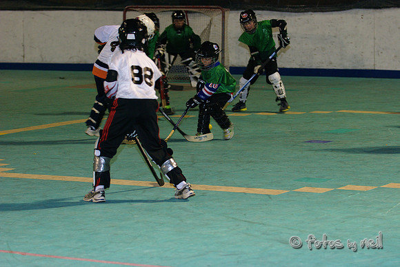 _DSC0713