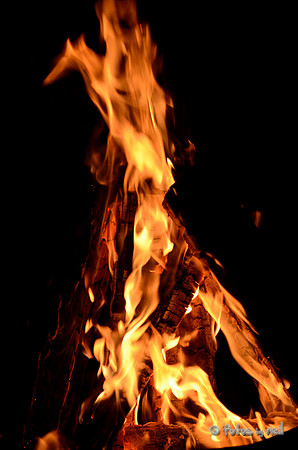 _DSC3484