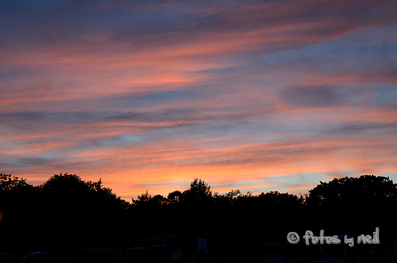 _DSC3537
