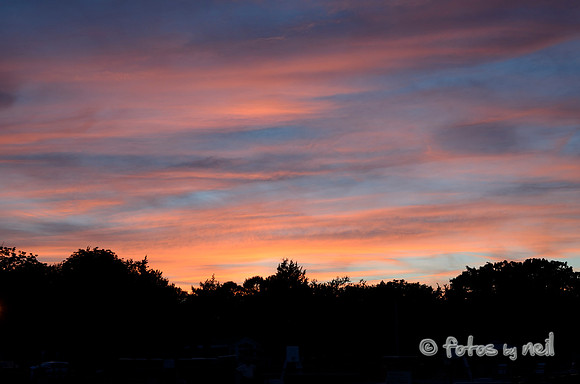 _DSC3538