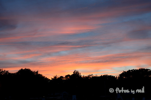 _DSC3539