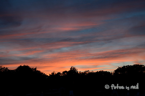 _DSC3540