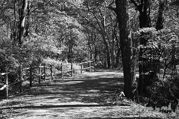 DSC_6228b