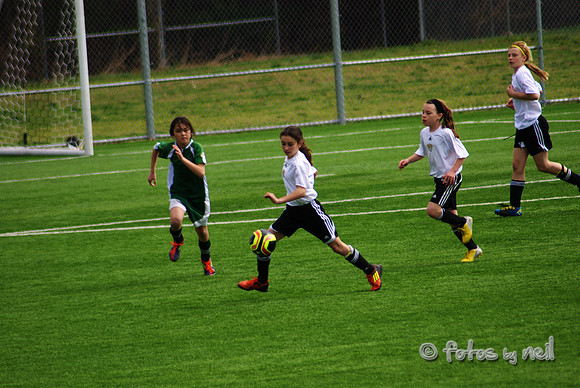 _DSC0604