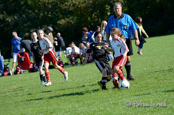 _DSC8366