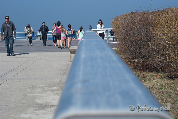 _DSC0349