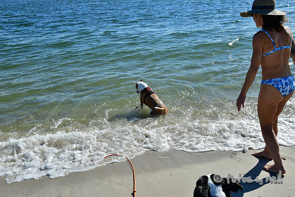 DSC_6096
