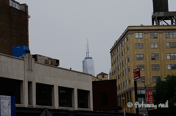 _DSC8544