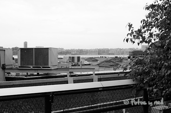 _DSC8565