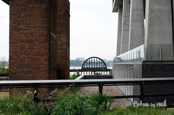 _DSC8568