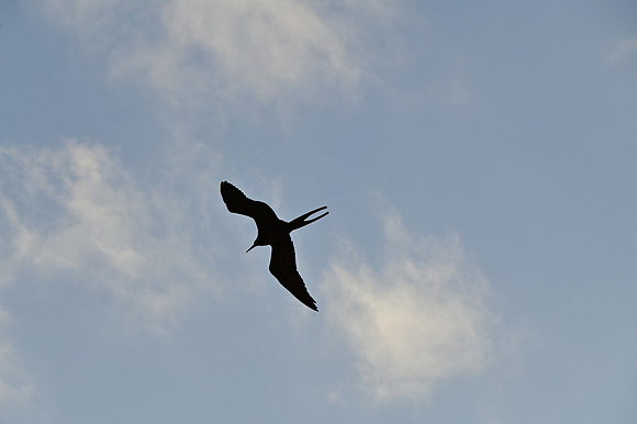 DSC_5209