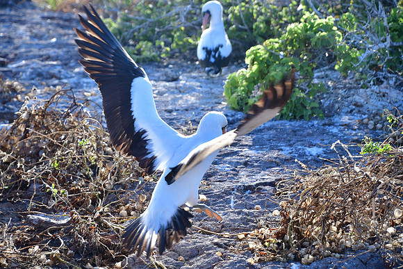 DSC_4066_01