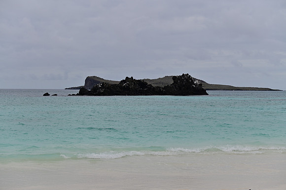 DSC_4882