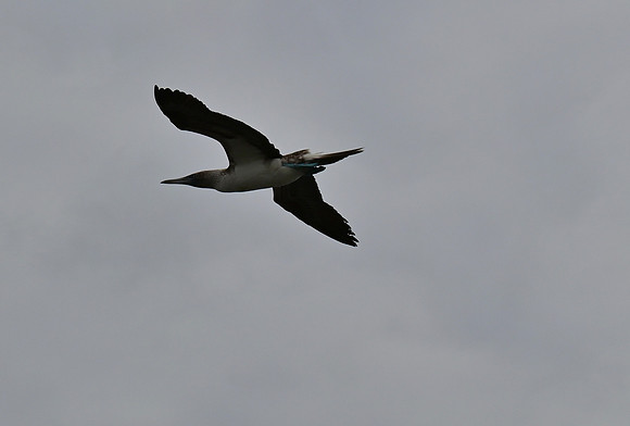 DSC_5095_01