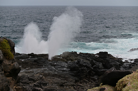 DSC_5080