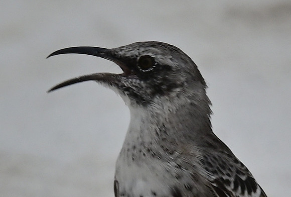 DSC_4909_01