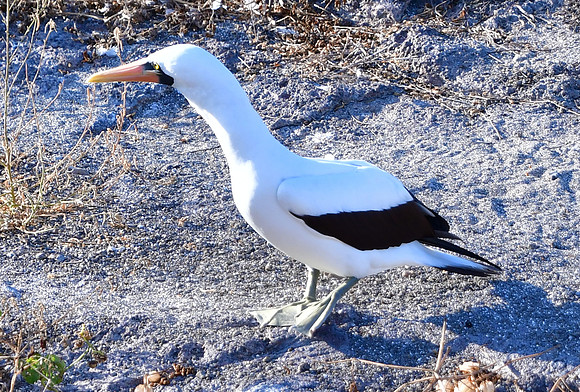 DSC_4068_01