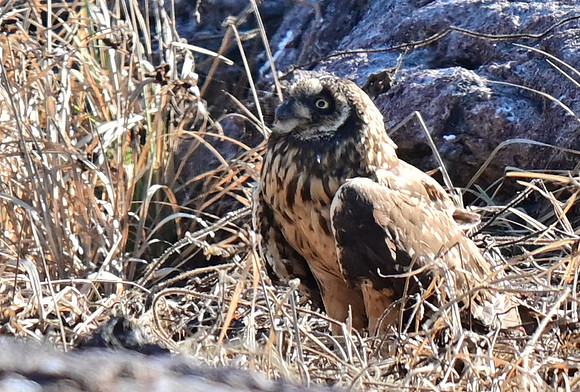 DSC_5669_01