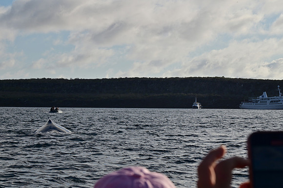 DSC_5603_01