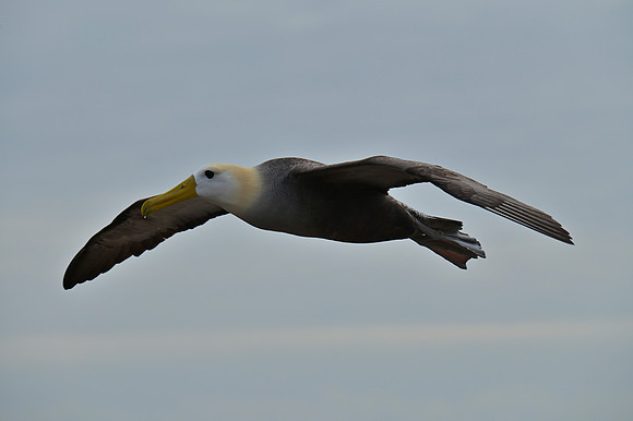 DSC_5059_01
