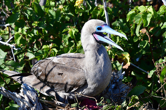 DSC_4104