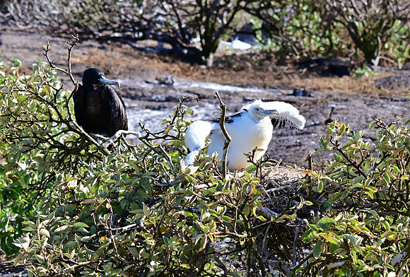 DSC_5700_01