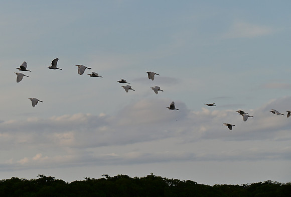 DSC_5563_01