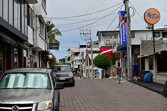 DSC_5460