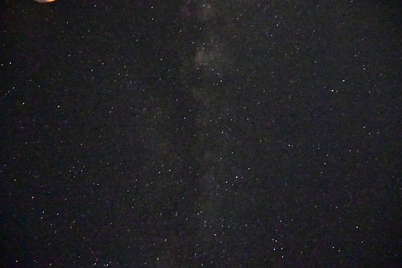 DSC_4849_01