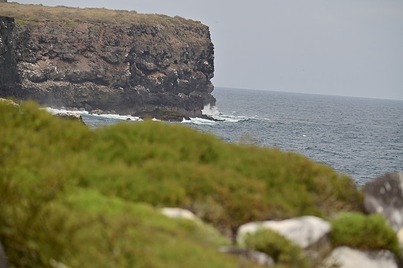 DSC_5105
