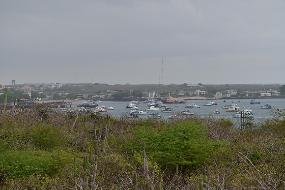 DSC_4793