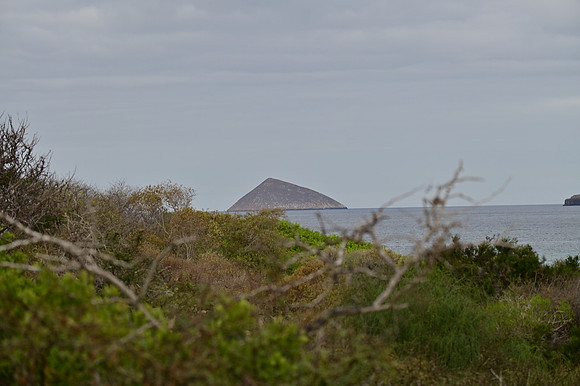 DSC_5174