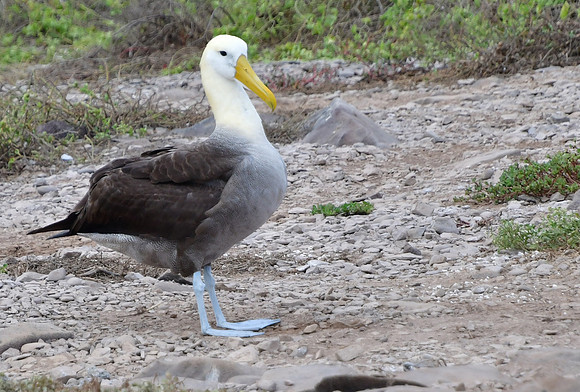 DSC_3463_01