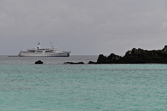 DSC_4906
