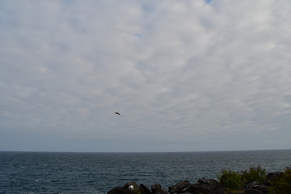 DSC_3542_01