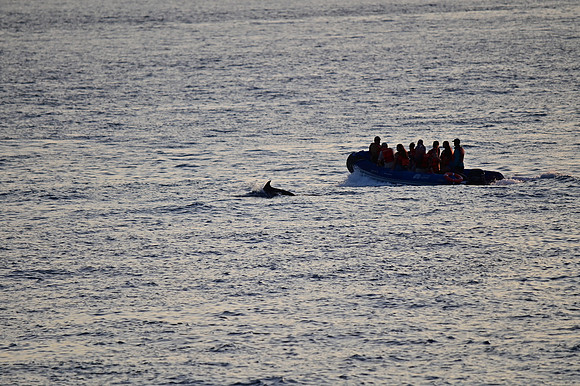 DSC_5232