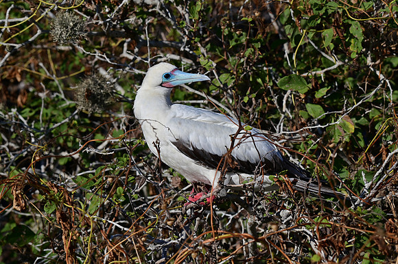 DSC_5638