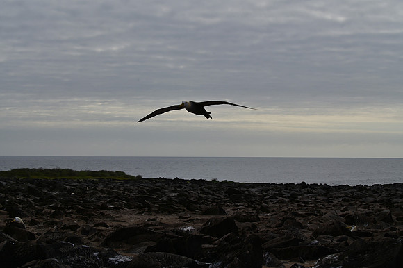 DSC_5065