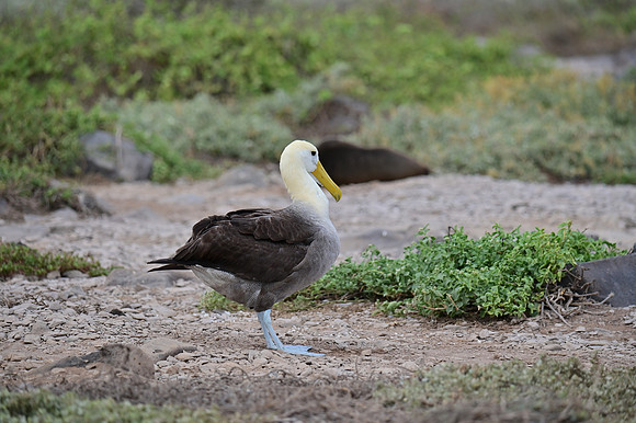 DSC_5002