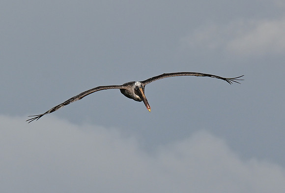 DSC_5489_01