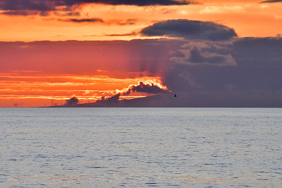 DSC_4034