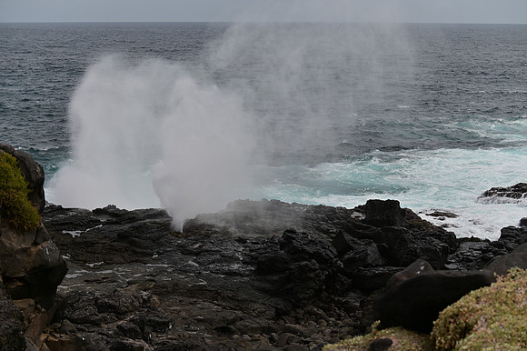 DSC_5083