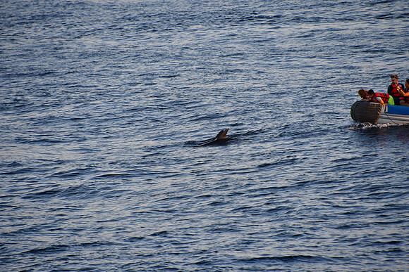 DSC_3724