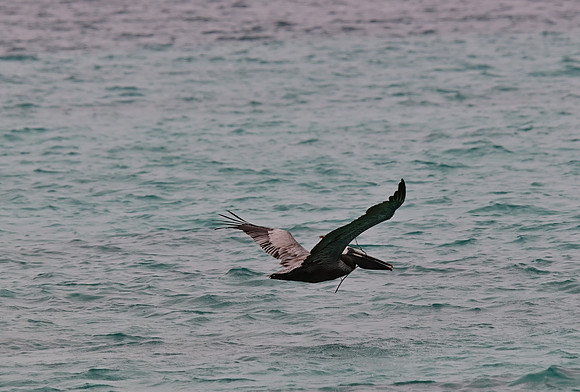 DSC_4903_01