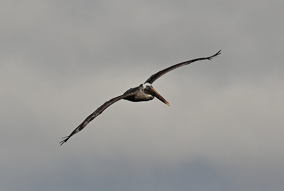DSC_5488_01