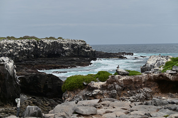 DSC_5008