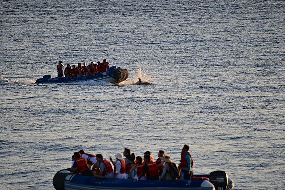 DSC_5225
